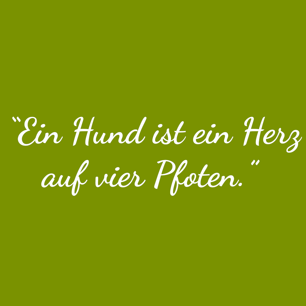 Ein Hund ist ein Herz auf vier Pfoten