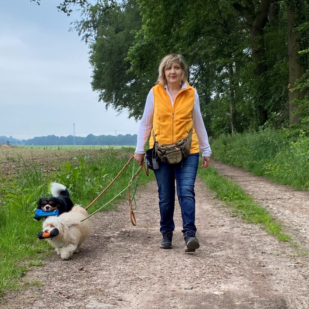 Futterbeutel Training mit Hunden